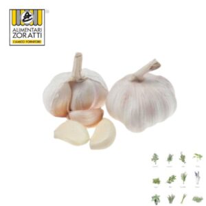 aglio-fresco-gr-500