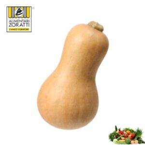 zucca-violina-pezzo